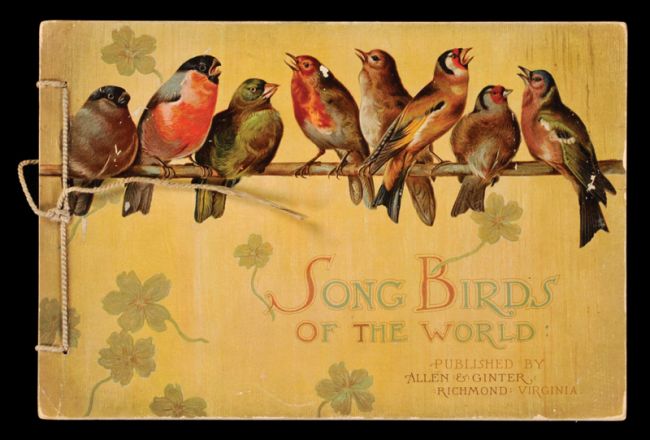 ALB A13 Song Birds of the World